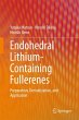 Endohedral Lithium-containing Fullerenes - Bild 1