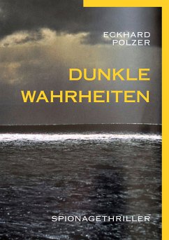 Dunkle Wahrheiten (eBook, ePUB)