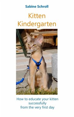 Kitten Kindergarten (eBook, ePUB) - Schroll, Sabine