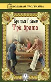 Три брата (eBook, ePUB)