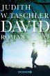 David (eBook, ePUB) - Bild 1