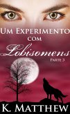 Um Experimento com Lobisomens: Parte 3 (eBook, ePUB)