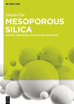 Cover Mesoporous Silica