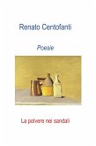 La polvere nei sandali (eBook, PDF)