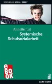 Systemische Schulsozialarbeit (eBook, PDF)