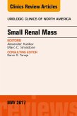 Small Renal Mass, An Issue of Urologic Clinics (eBook, ePUB)