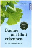 Bäume am Blatt erkennen Bäume am Blatt erkennen
