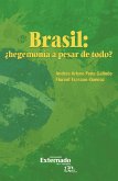 Brasil: ¿hegemonía a pesar de todo? (eBook, ePUB)