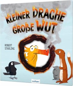 Kleiner Drache, große Wut / Kleiner Drache Finn Bd.1 - Starling, Robert