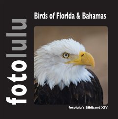 Birds of Florida & Bahamas (eBook, ePUB)