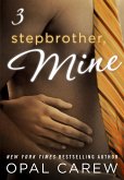 Stepbrother, Mine #3 (eBook, ePUB) Stepbrother, Mine #3 (eBook, ePUB)