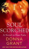 Soul Scorched: Part 1 (eBook, ePUB)
