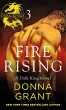 Fire Rising: Part 3 (eBook, ePUB) - Bild 1
