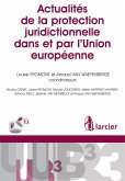Actualités de la protection juridictionnelle dans et par l'Union européenne (eBook, ePUB)