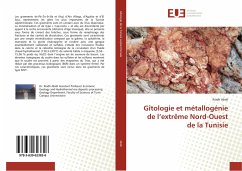 Gîtologie et métallogénie de l¿extrême Nord-Ouest de la Tunisie - Abidi, Riadh