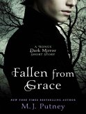 Fallen from Grace (eBook, ePUB)