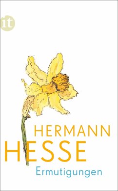 Ermutigungen (eBook, ePUB) - Hesse, Hermann