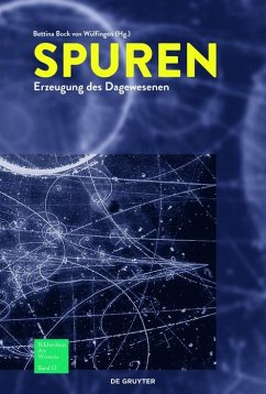 Cover Spuren (eBook, ePUB)