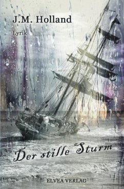 Der stille Sturm - Holland, J. M.