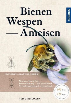 Bienen, Wespen, Ameisen - Bellmann, Heiko