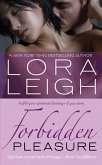Forbidden Pleasure (eBook, ePUB)