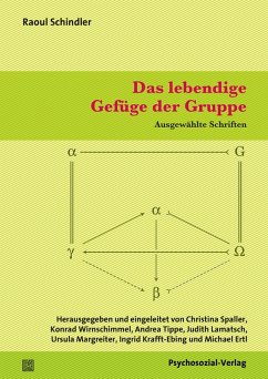 Das lebendige Gefüge der Gruppe (eBook, PDF) - Schindler, Raoul