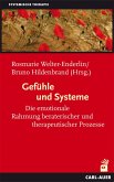 Gefühle und Systeme (eBook, PDF)