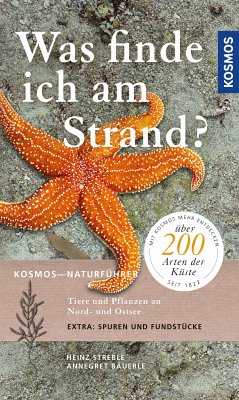 Was finde ich am Strand? (eBook, PDF) - Streble, Heinz; Bäuerle, Annegret