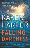 Falling Darkness (eBook, ePUB)
