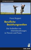 Berufliche Beziehungswelten (eBook, PDF)