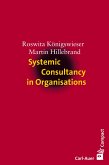 Systemic Consultancy in Organisations (eBook, PDF)