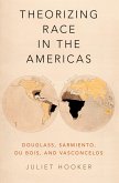 Theorizing Race in the Americas (eBook, ePUB)