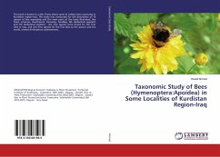 Taxonomic Study of Bees (Hymenoptera:Apoidea) in Some Localities of Kurdistan Region-Iraq