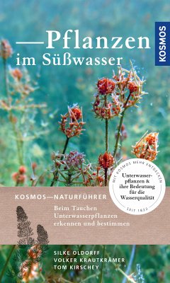 Pflanzen im Süßwasser (eBook, PDF) - Oldorff, Silke; Kirschey, Tom; Krautkrämer, Volker