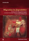 Migration im Jugendalter (eBook, PDF)