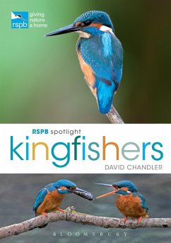 Cover RSPB Spotlight Kingfishers (eBook, PDF)