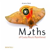 Moths of Costa Rica's Rainforest