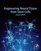 Engineering Neural Tissue from Stem Cells