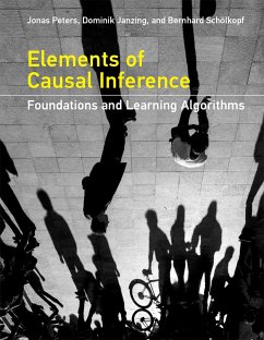 Elements of Causal Inference - Peters, Jonas;Janzing, Dominik;Scholkopf, Bernhard