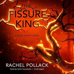The Fissure King: A Novel in Five Stories - Pollack, Rachel