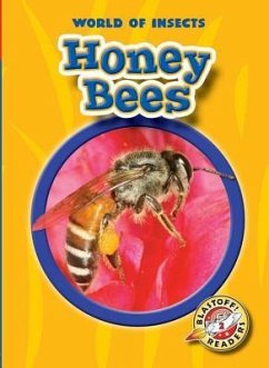 Honey Bees - Sexton, Colleen