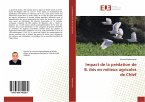 Impact de la prédation de B. ibis en milieux agricoles de Chlef