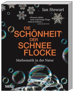 Die Schönheit der Schneeflocke - Stewart, Ian