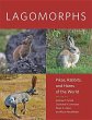 Lagomorphs - Bild 1
