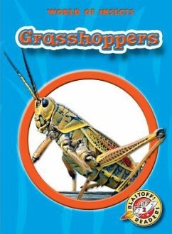 Grasshoppers - Green, Emily K