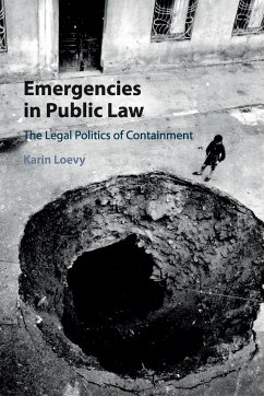 Emergencies in Public Law - Loevy, Karin