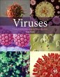 Viruses - Bild 1