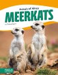 Meerkats - Bild 1