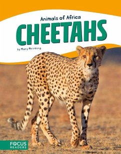 Cheetahs - Meinking, Mary