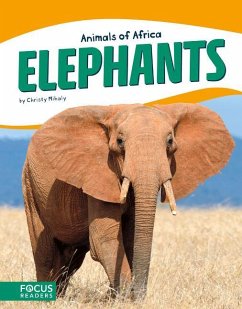 Elephants - Mihaly, Christy